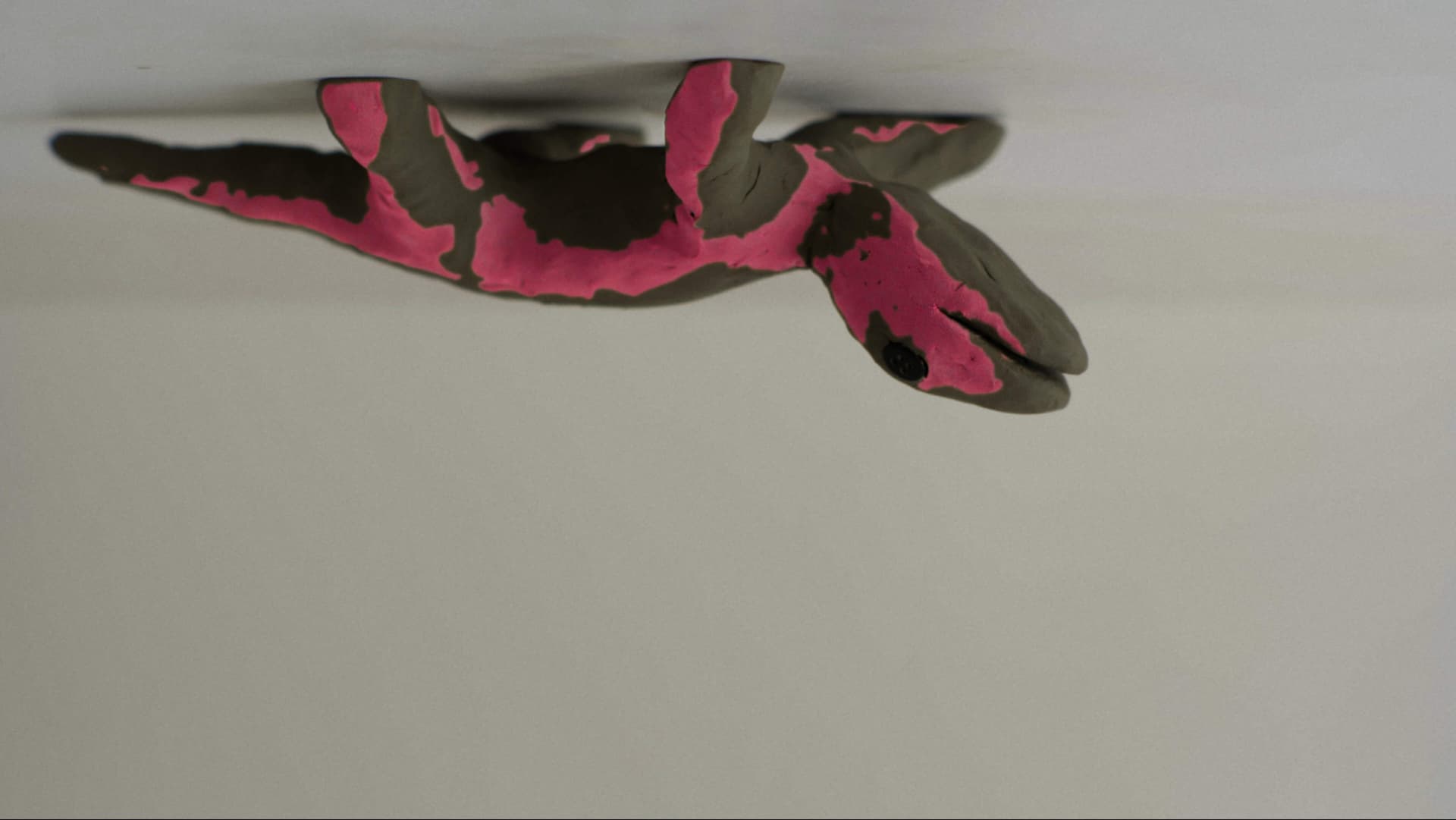 Lizard