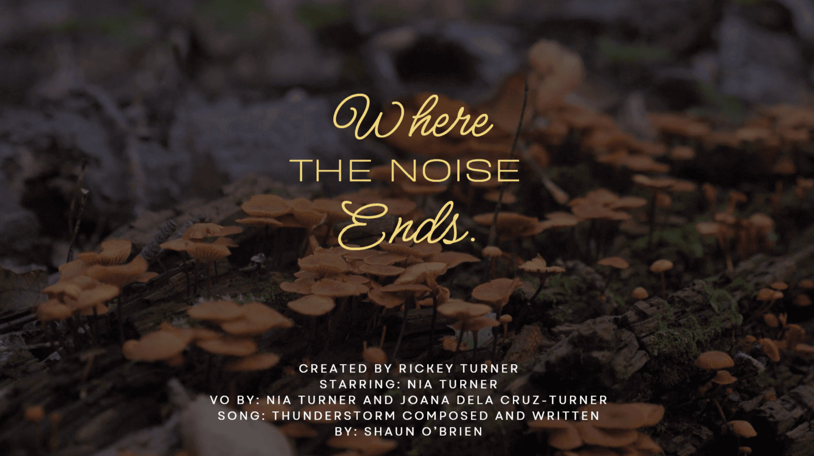 Where the Noise Ends