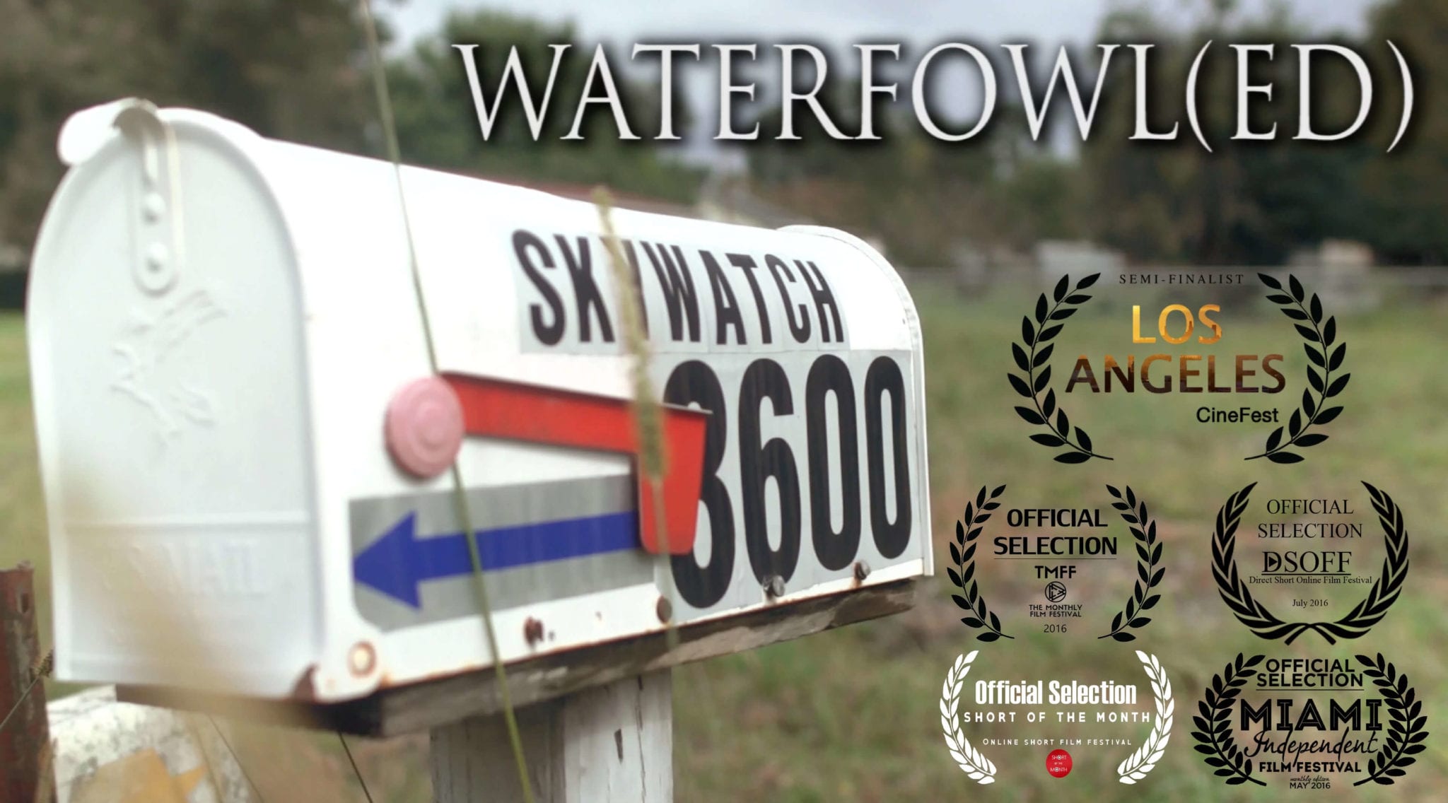 Waterfowl(ed) - Short of the Month - Online Short Film Festival May 2016 - Featured